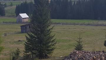 Фото номера Вилла Гостевой дом Bonita Chalet г. Neagra Şarului 11