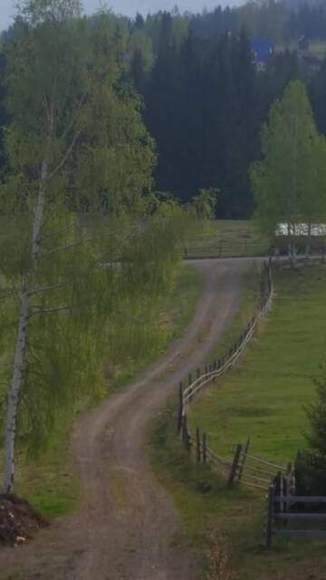 Фото номера Вилла Гостевой дом Bonita Chalet г. Neagra Şarului 8
